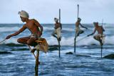 Stilt fishermen in Weligama, Sri Lanka